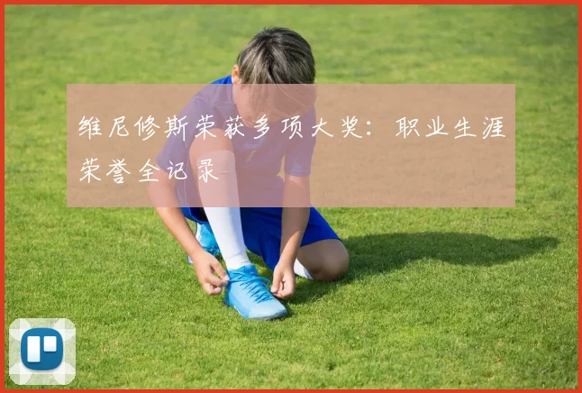 维尼修斯荣获多项大奖:职业生涯荣誉全记录