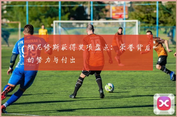 维尼修斯获得奖项盘点：荣誉背后的努力与付出