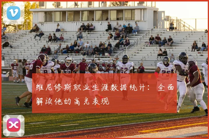维尼修斯职业生涯数据统计:全面解读他的高光表现
